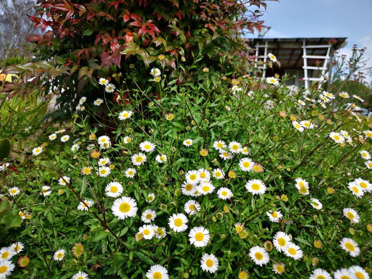 Whakamarama River Side Lodge מראה חיצוני תמונה
