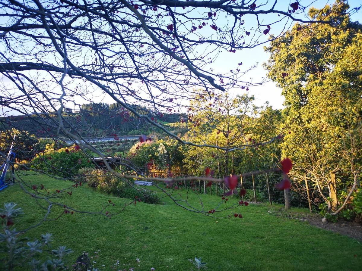 Whakamarama River Side Lodge מראה חיצוני תמונה