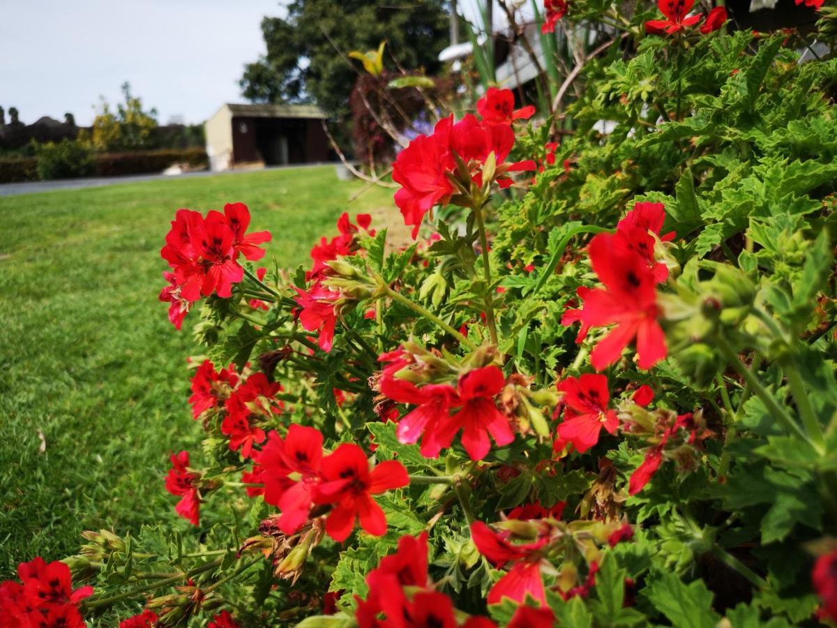 Whakamarama River Side Lodge מראה חיצוני תמונה