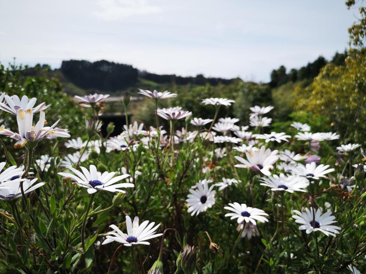Whakamarama River Side Lodge מראה חיצוני תמונה